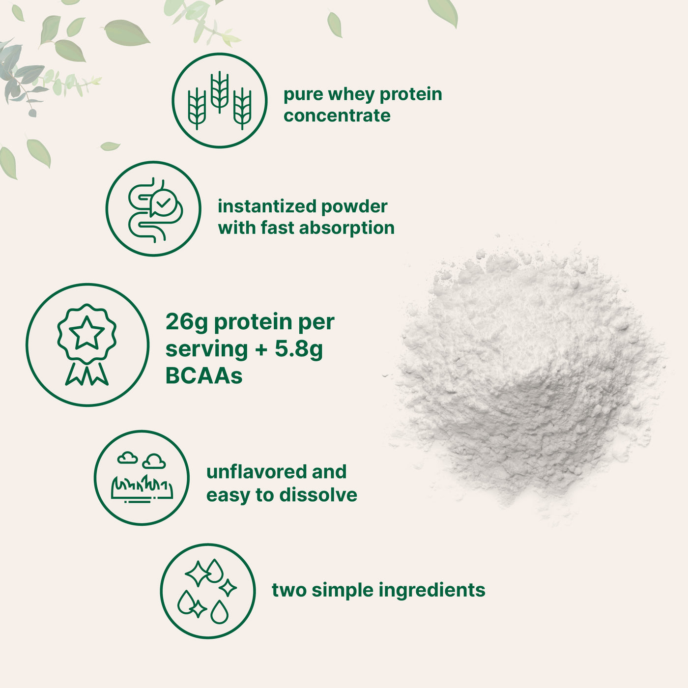 Micro Ingredients Instant Whey Protein Powder Concentrate, 2lbs