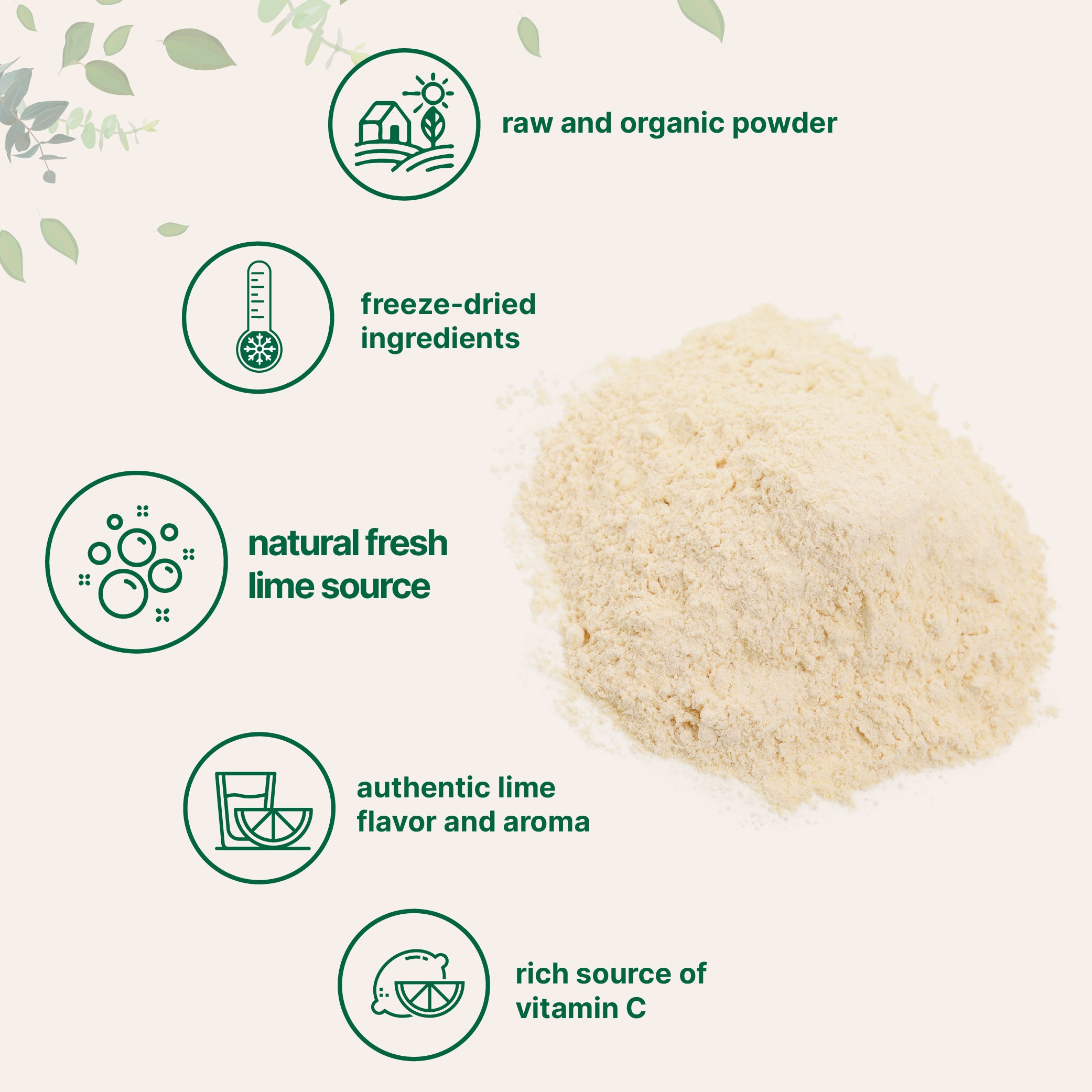 Micro Ingredients Organic Freeze-Dried Lime Powder, 1.5lbs