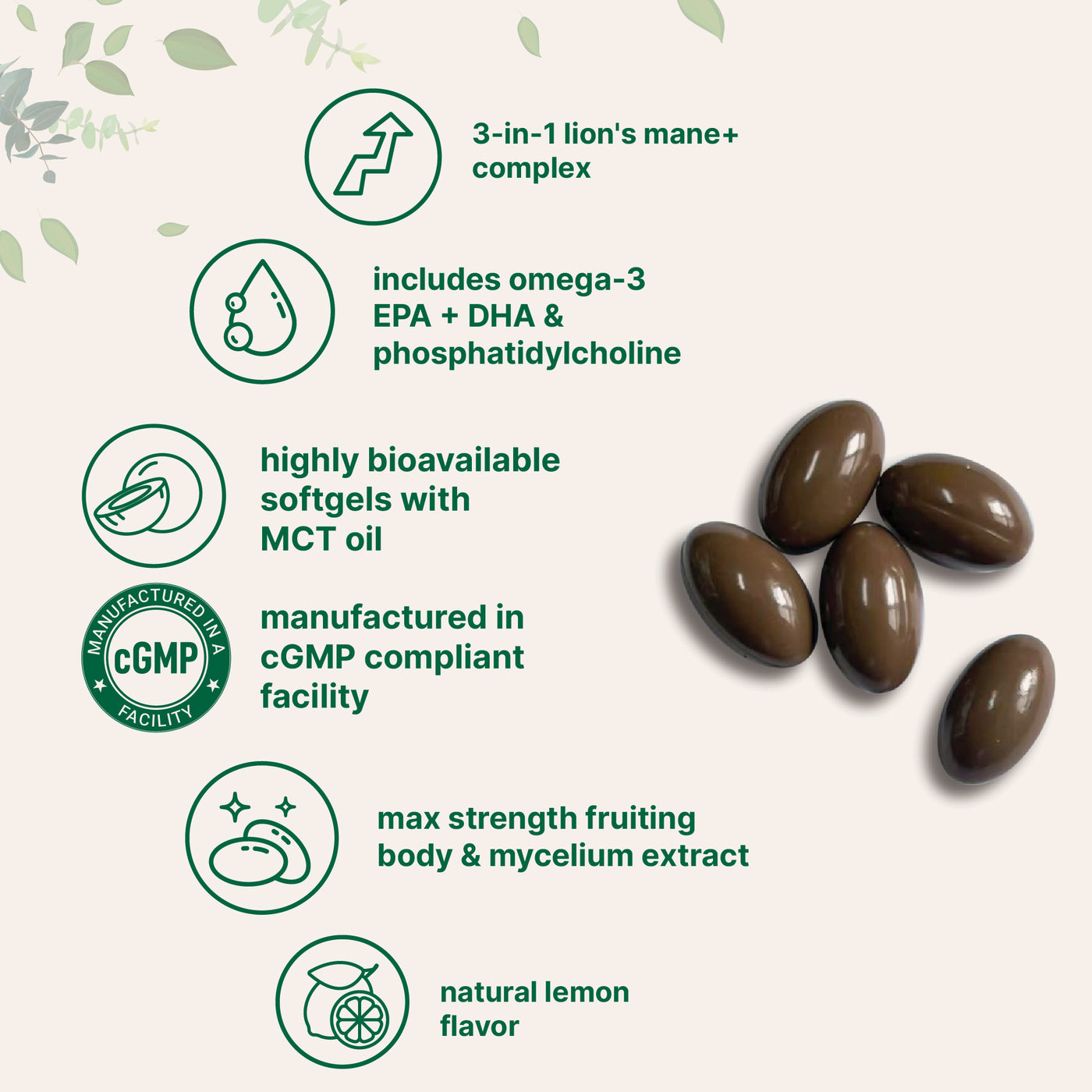 Micro Ingredients Lions Mane+ with Omega-3 & MCT Oil, 240 Softgels