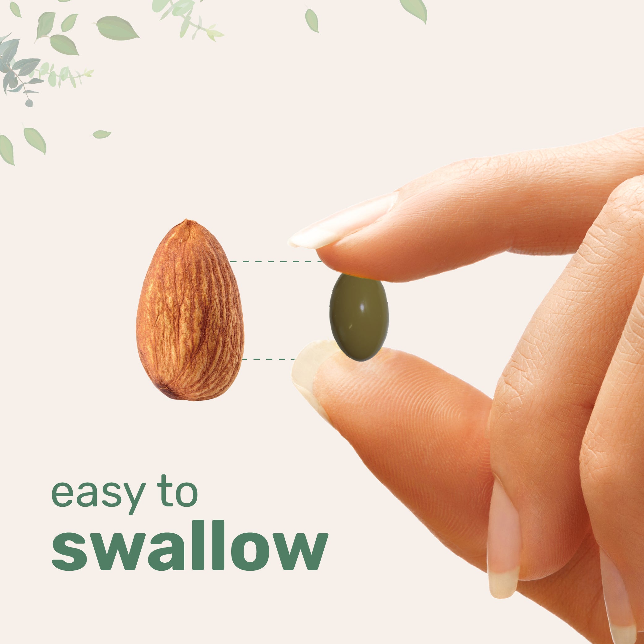 Micro Ingredients Lions Mane+ with Omega-3 & MCT Oil, 240 Softgels