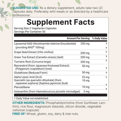 Micro Ingredients Liposomal NAD+ Ultimate 1,000mg, 60 Veggie Capsules