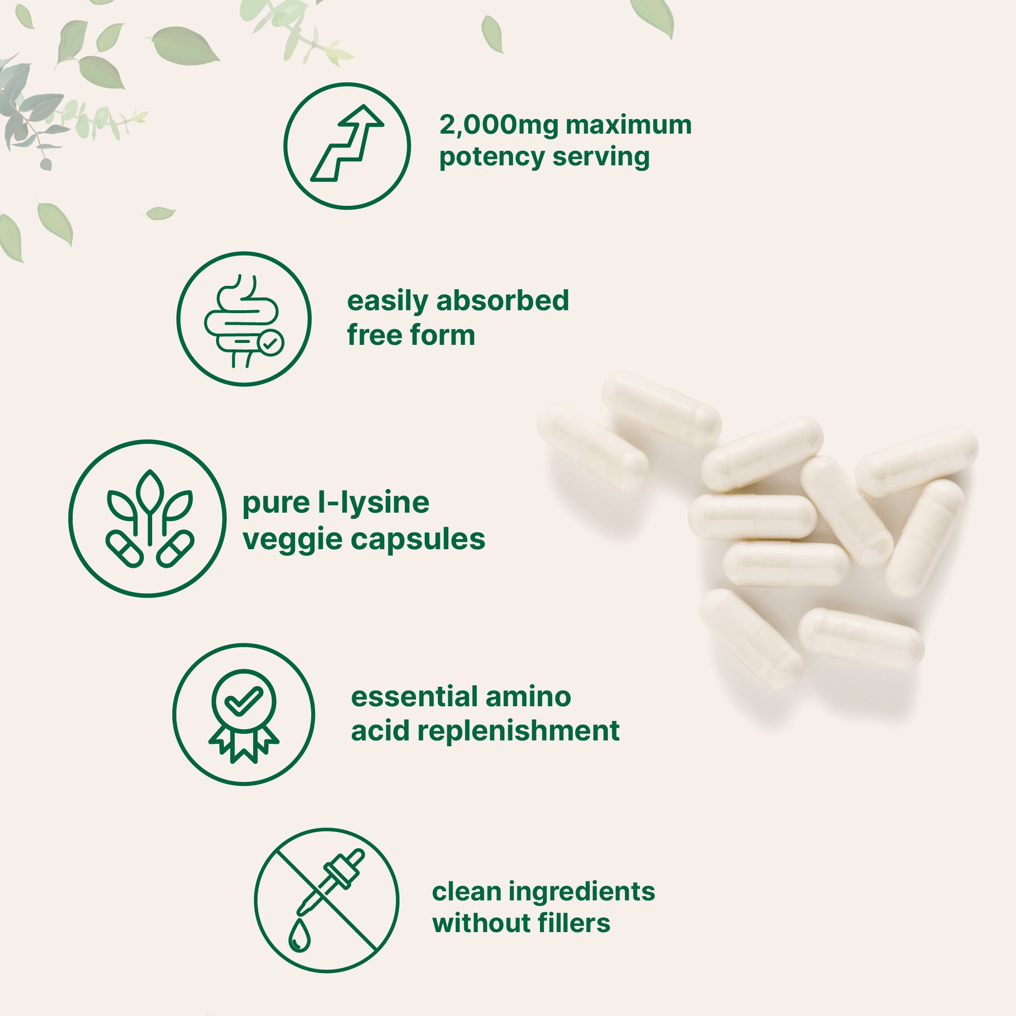 Micro Ingredients Pure L-Lysine 2,000mg, 300 Veggie Capsules