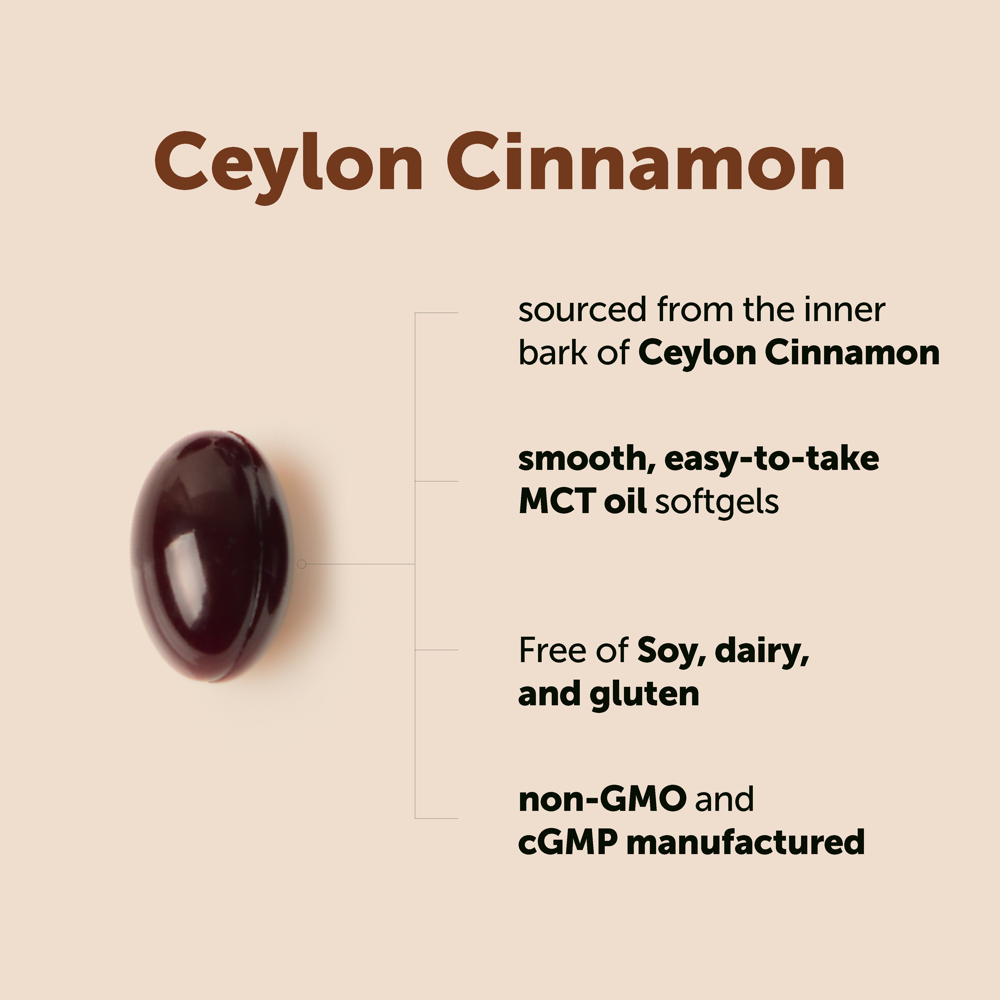 Micro Ingredients Ceylon Cinnamon, 300 Softgels with MCT Oil