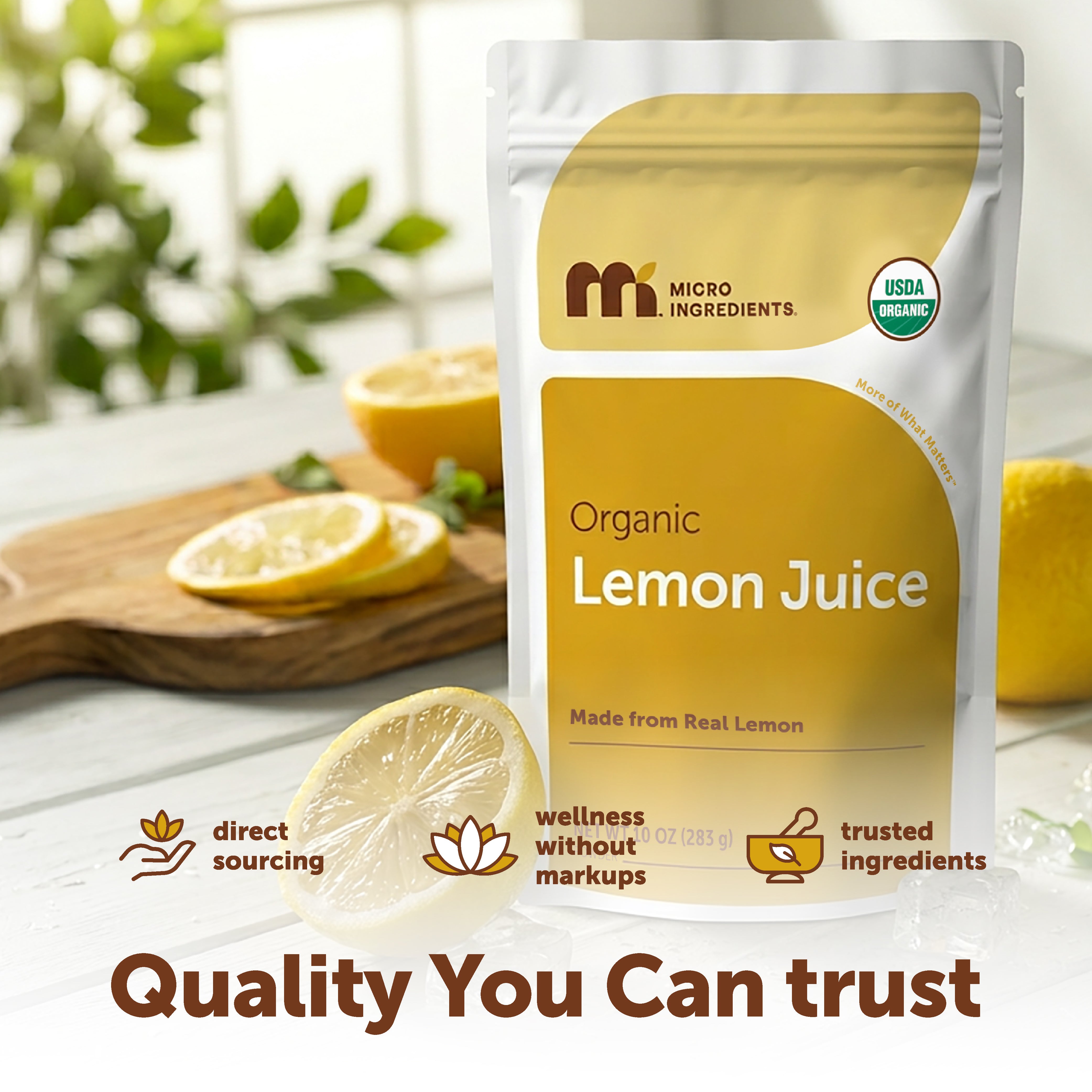 Micro Ingredients Organic Lemon Juice Powder