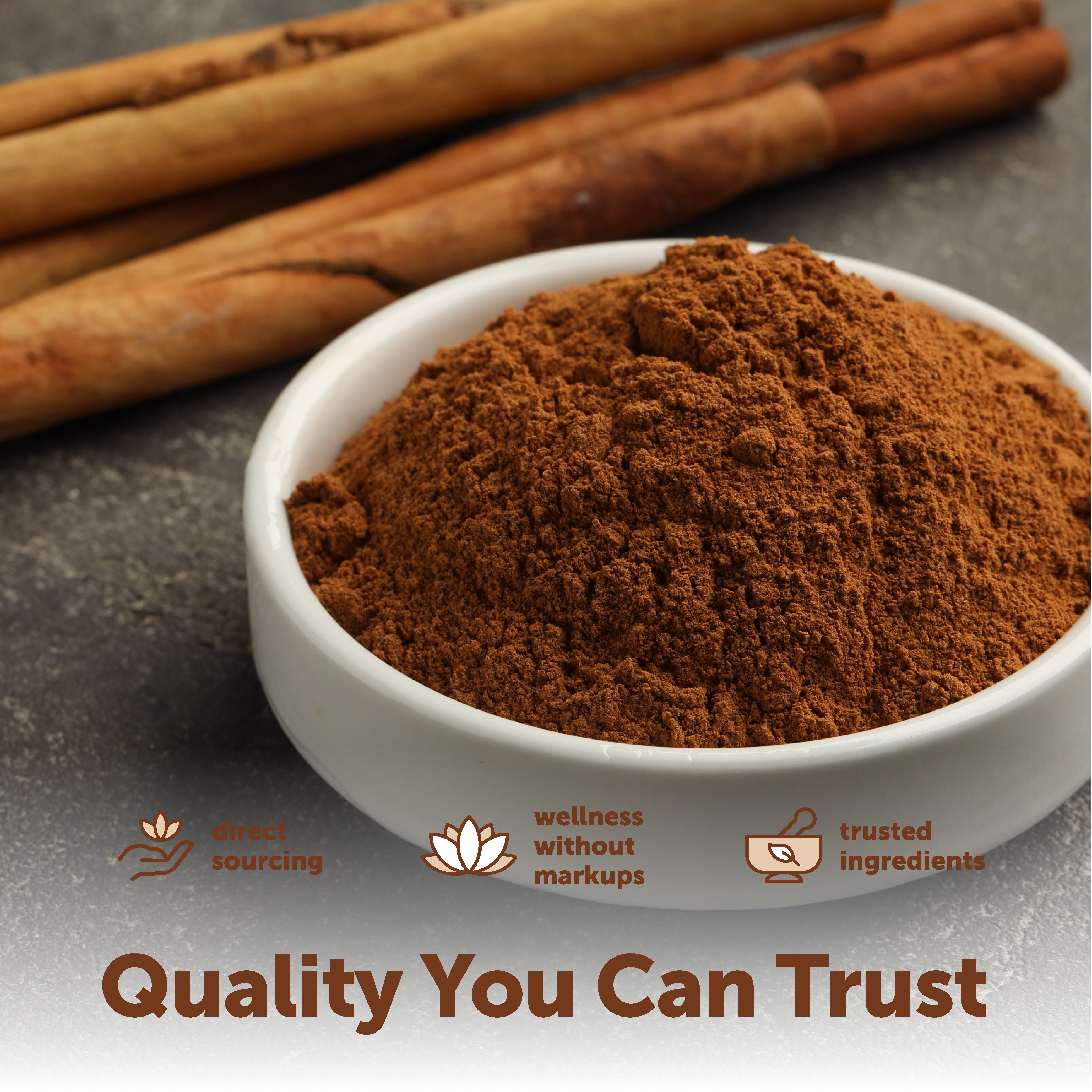 Micro Ingredients Organic Ceylon Cinnamon Powder