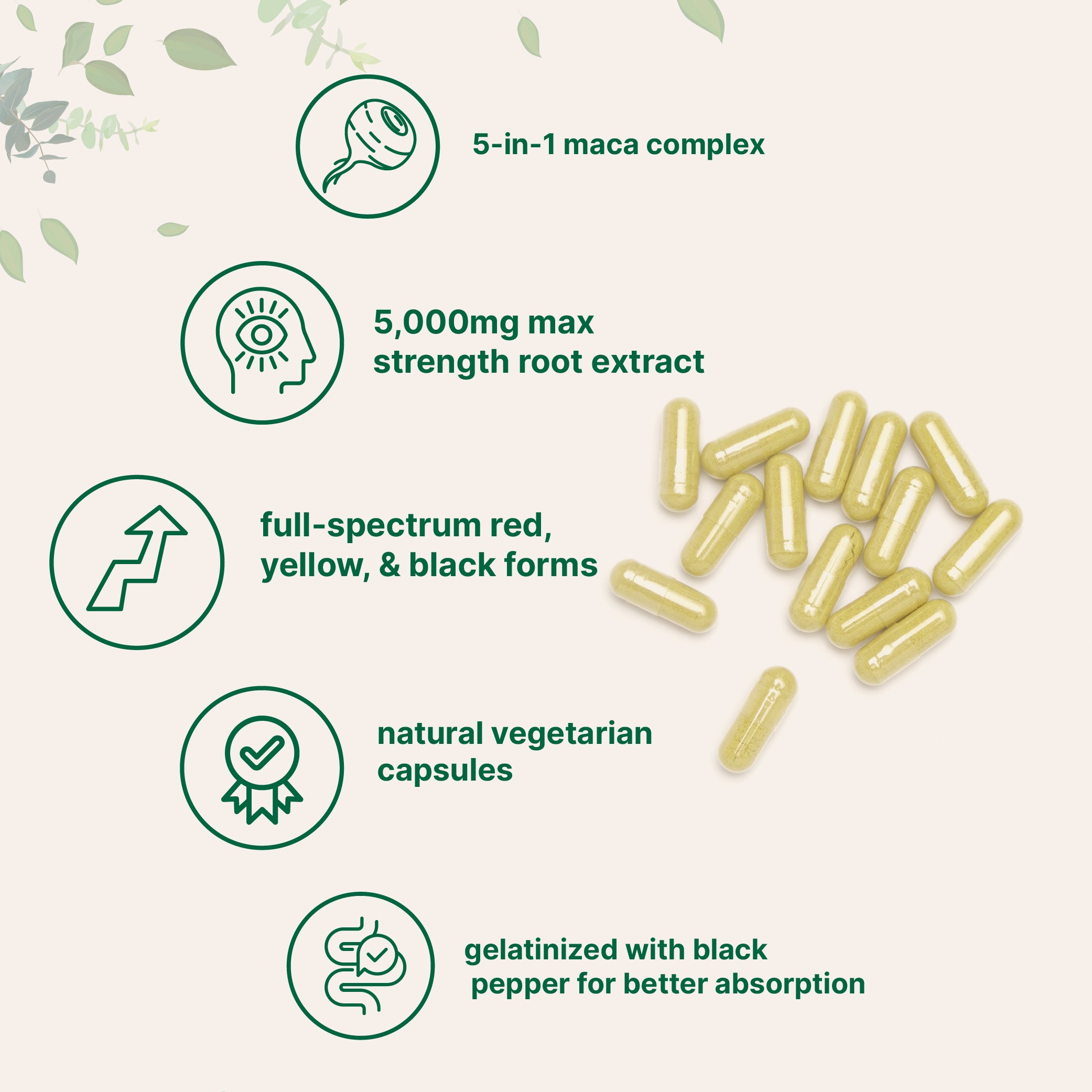 Micro Ingredients Maca Root 5,000mg Equivalent | 240 Veggie Capsules