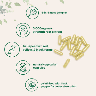 Micro Ingredients Maca Root 5,000mg Equivalent | 240 Veggie Capsules