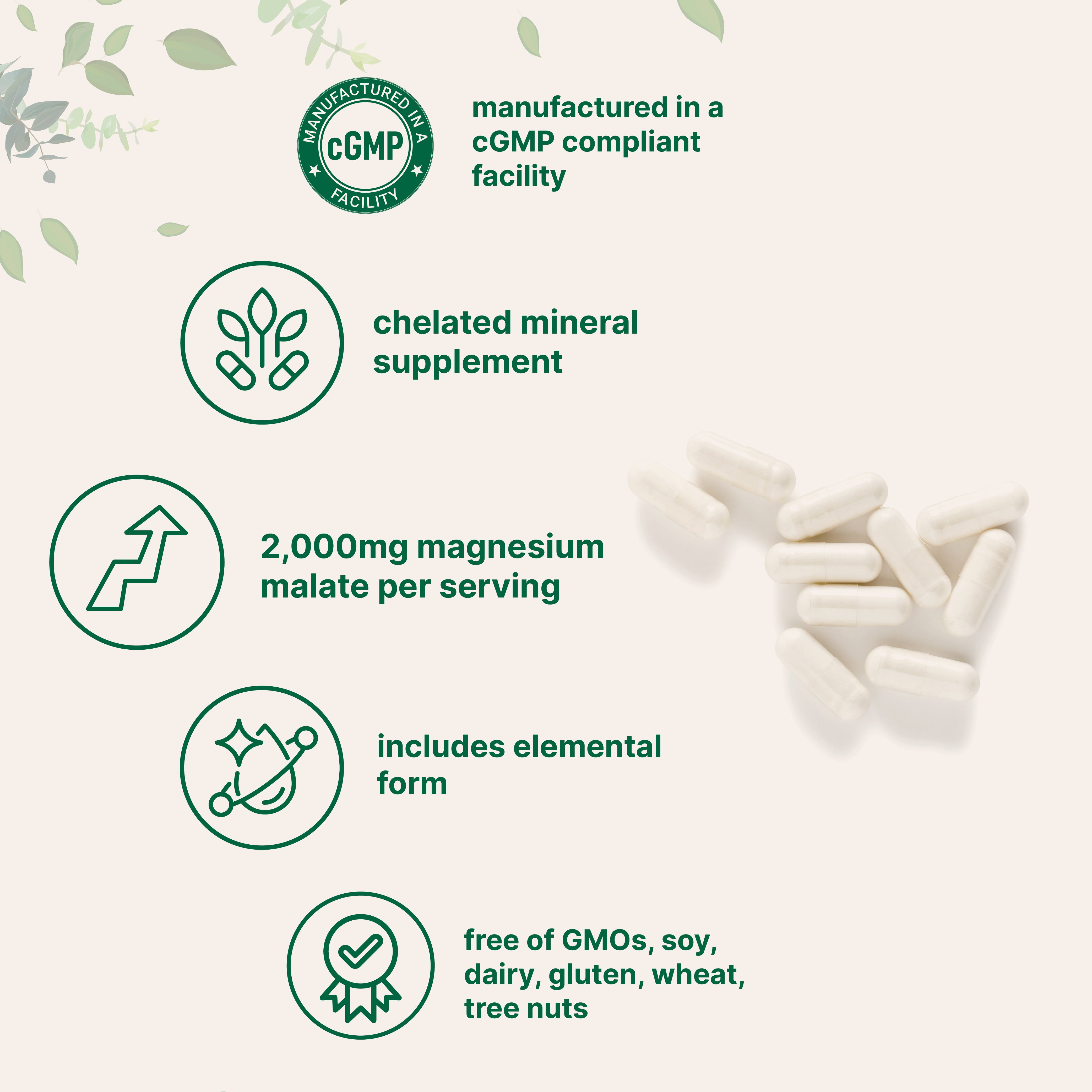 Micro Ingredients Magnesium Malate 2,000mg, 240 Capsules