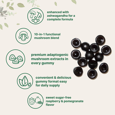 Micro Ingredients Mega Mushroom Gummies, 120 Count