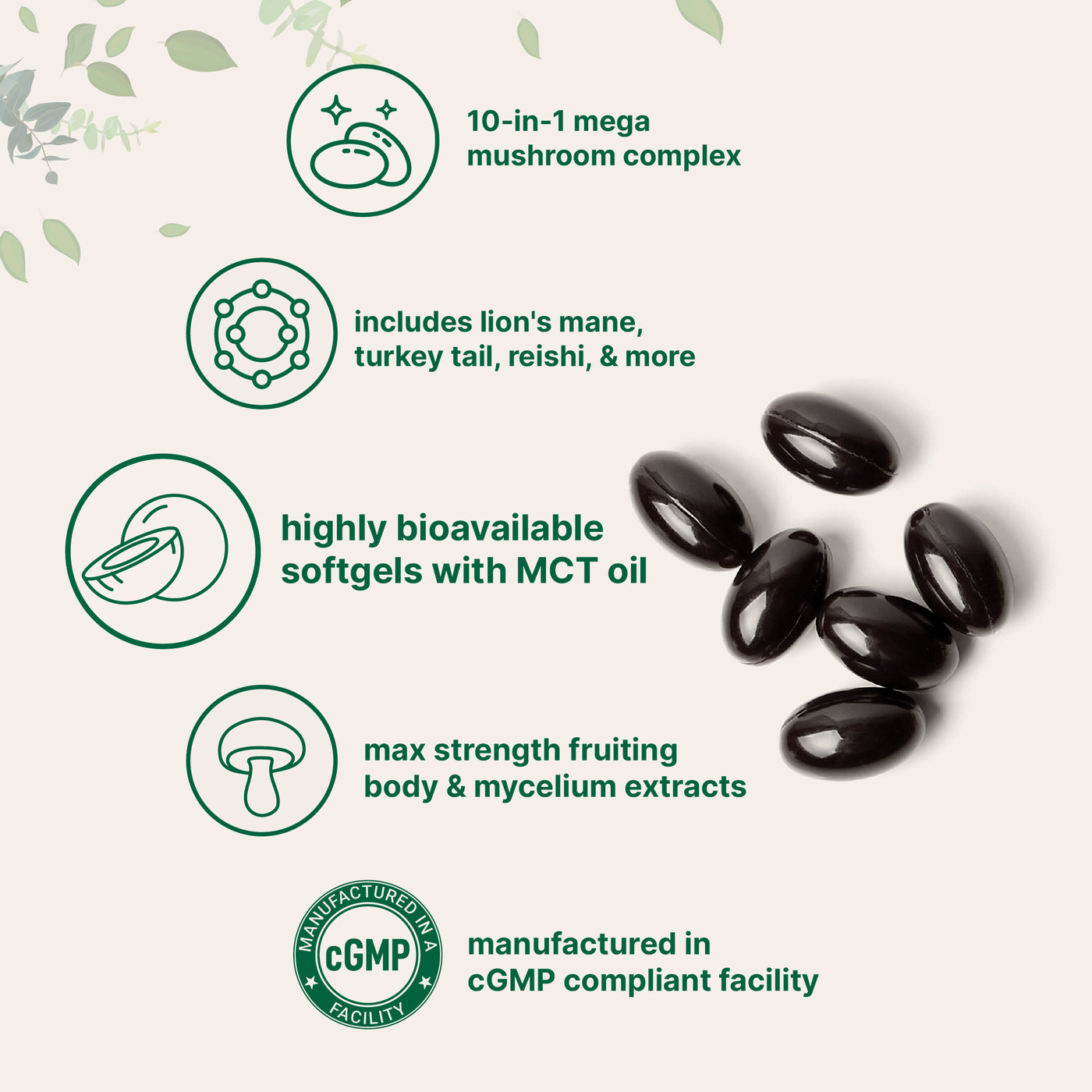 Micro Ingredients Mega Mushroom 10-in-1 with MCT Oil, 240 Softgels