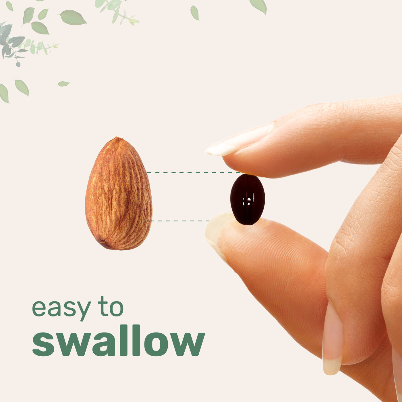 Micro Ingredients Mega Mushroom 10-in-1 with MCT Oil, 240 Softgels