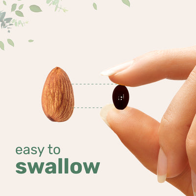 Micro Ingredients Mega Mushroom 10-in-1 with MCT Oil, 240 Softgels