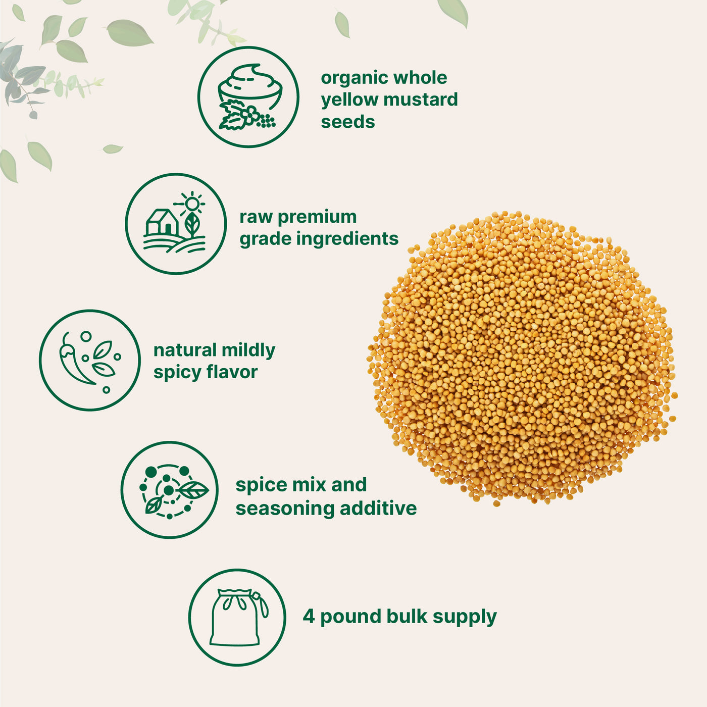 Micro Ingredients Organic Whole Yellow Mustard Seed