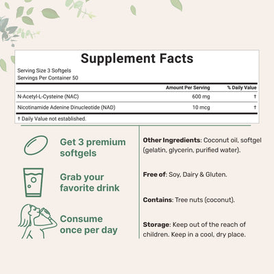 Micro Ingredients NAC 600mg with NAD+, N-Acetyl L-Cysteine + Nicotinamide + MCT Oil, Cellular Energy & Antioxidant Support