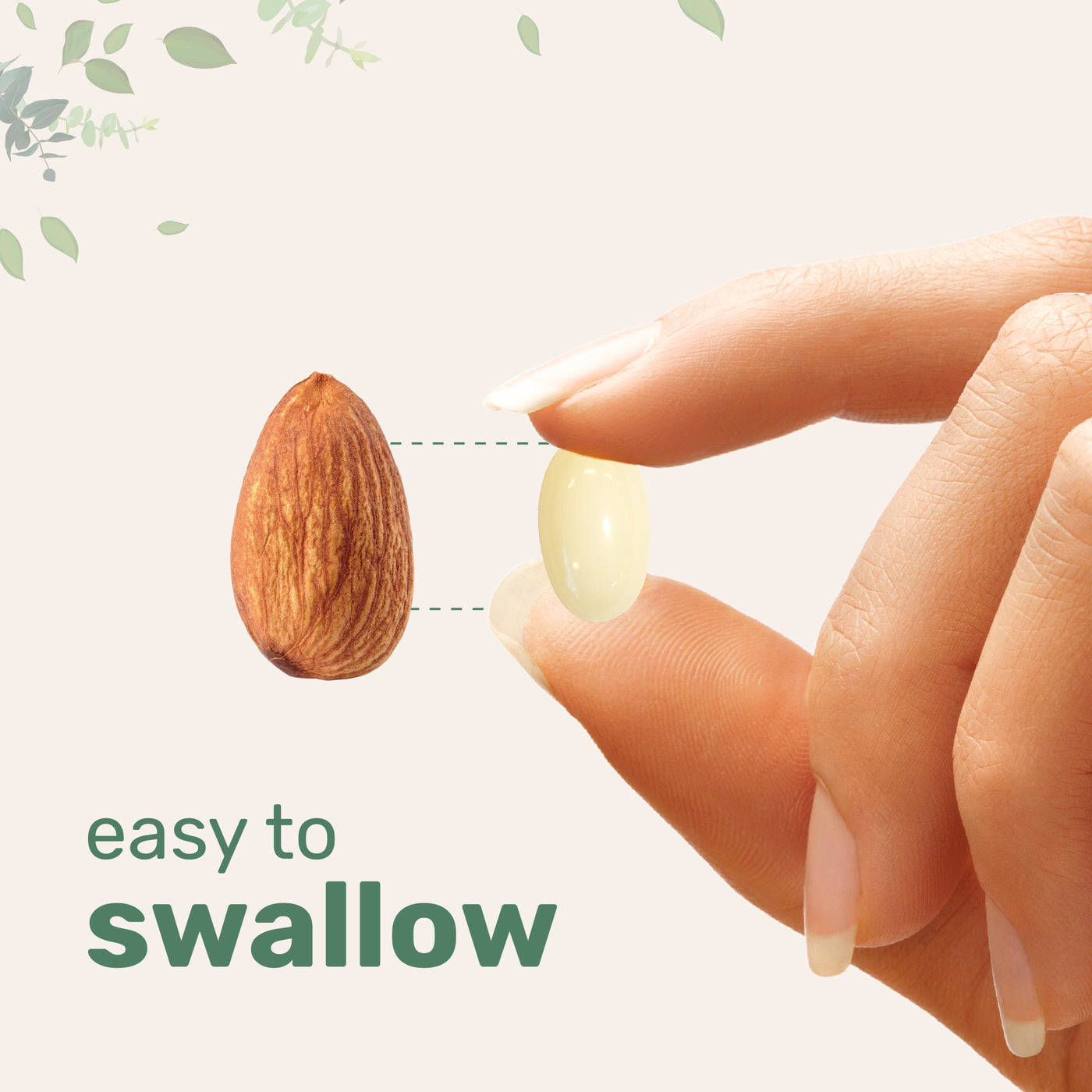 Micro Ingredients NAC 600mg with NAD+, N-Acetyl L-Cysteine + Nicotinamide + MCT Oil, Cellular Energy & Antioxidant Support