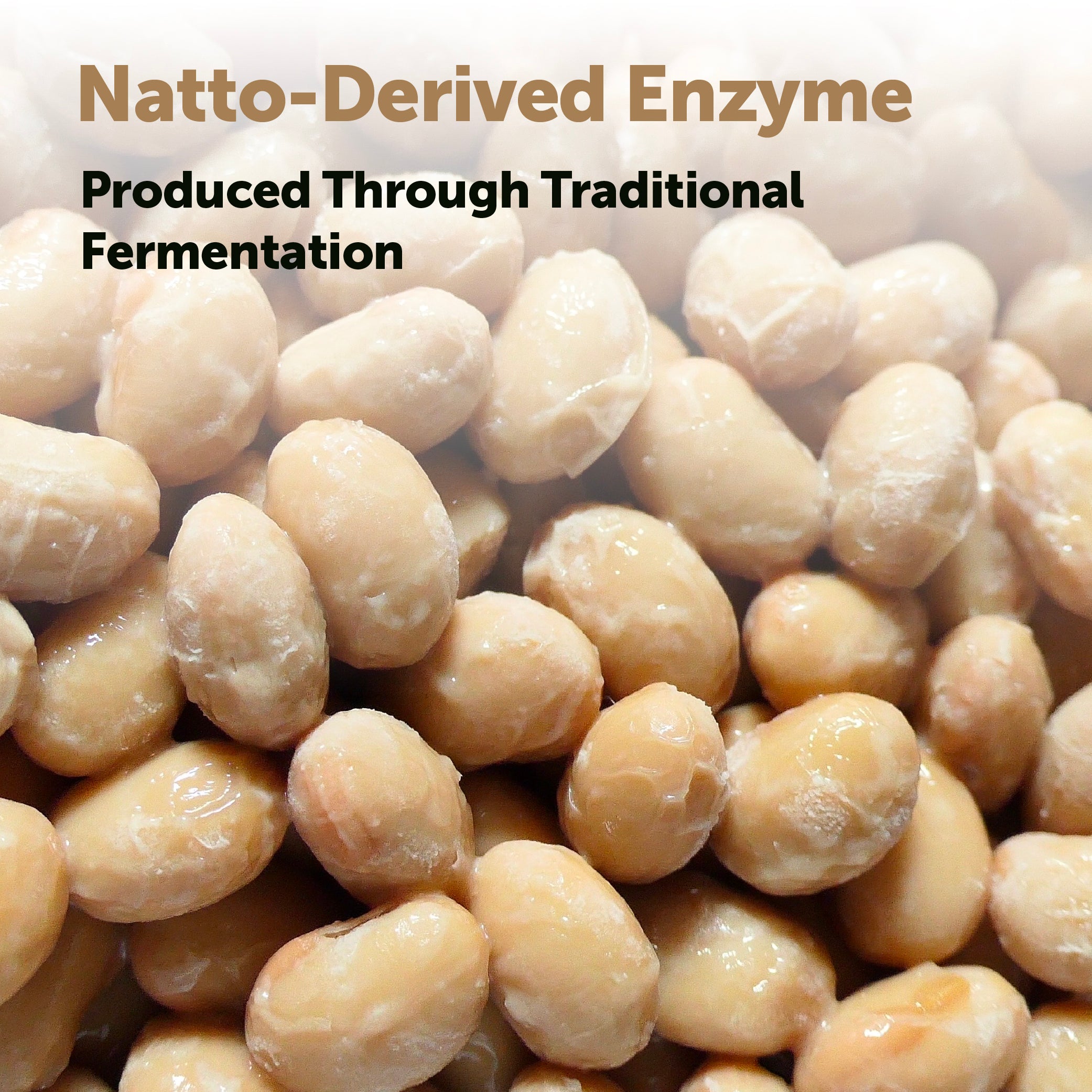 Micro Ingredients Nattokinase 10,000FU Complex, 240 Vegetarian Capsules