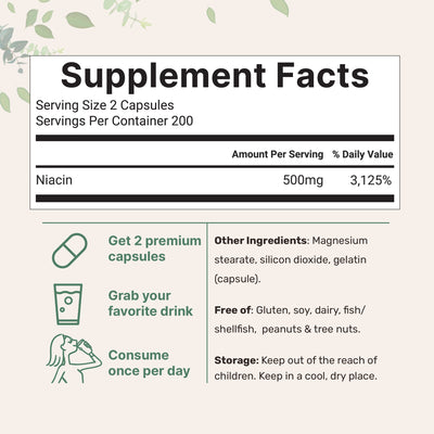 Micro Ingredients Niacin 500mg Per Serving, 400 Capsules | Flush Free B3 Vitamins