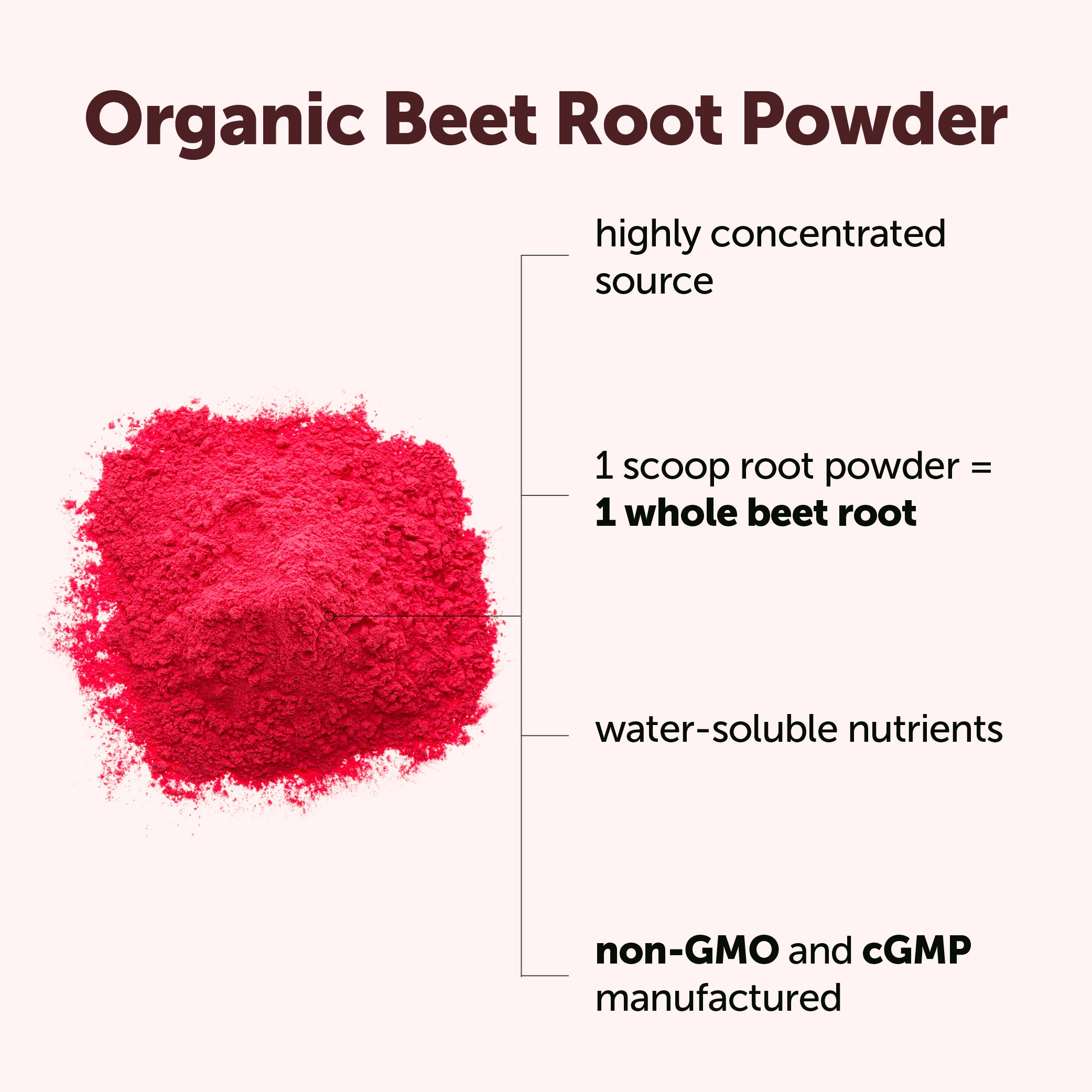 Micro Ingredients Organic Beet Root Powder, 8oz