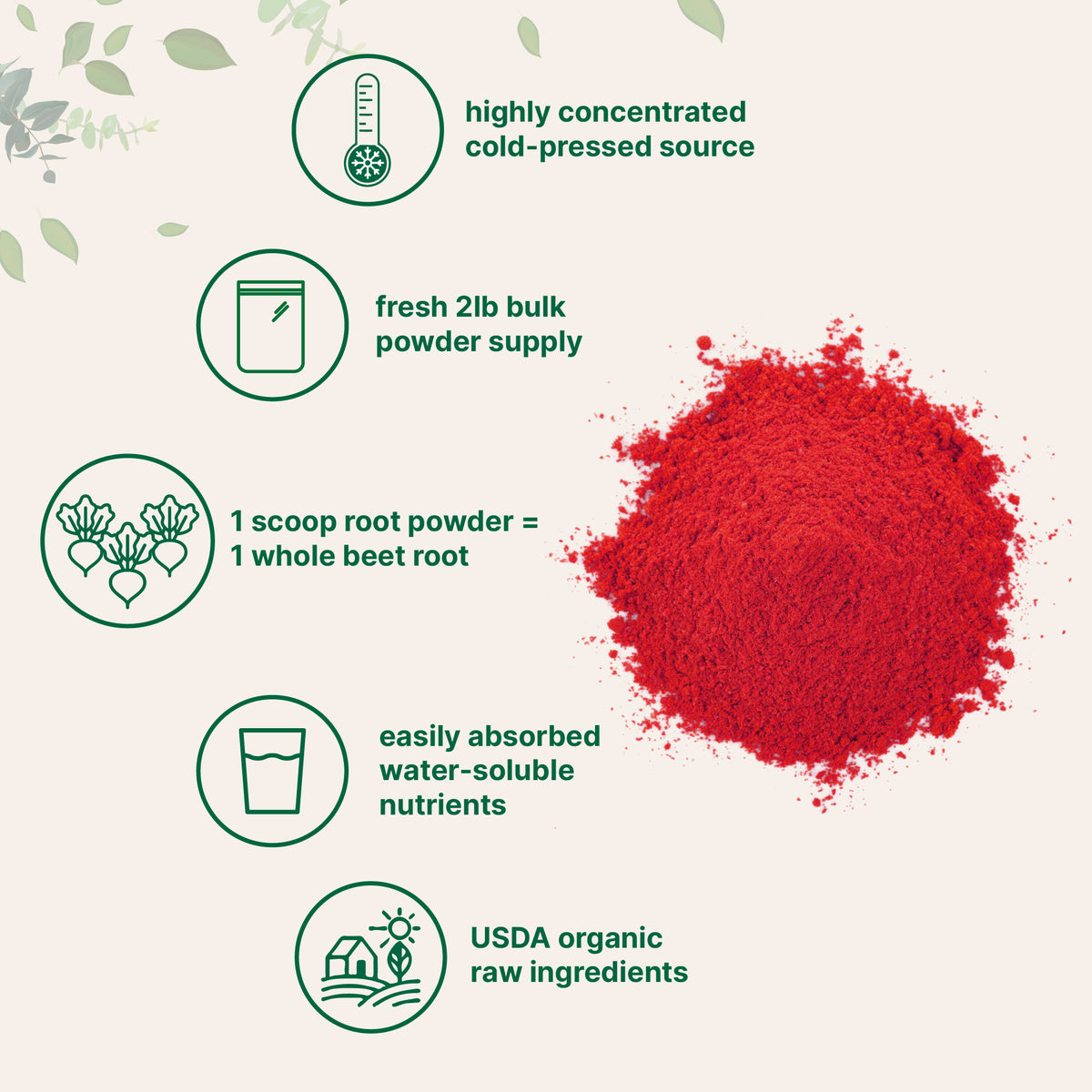 Root Powder Mix Micro Ingredients Organic Beet Root Powder, 2 Pound
