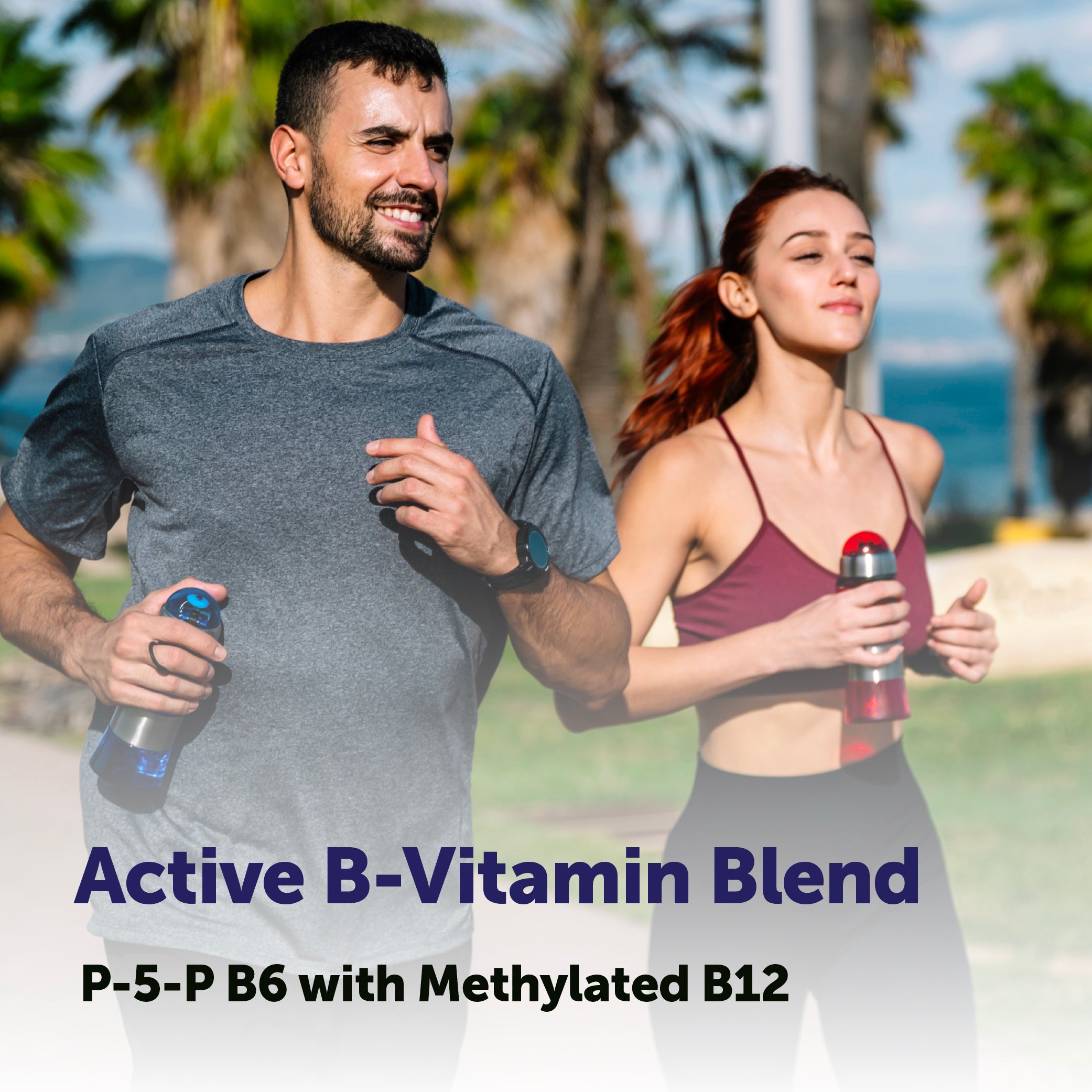 Micro Ingredients P5P 100mg with MCT Oil, 240 Softgels