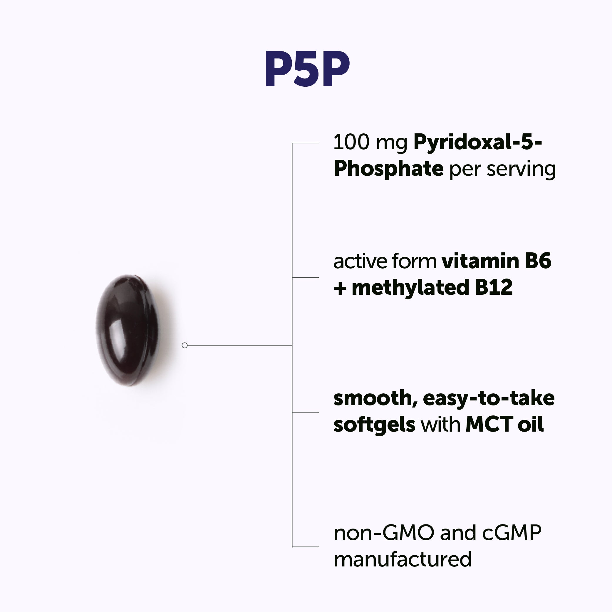 Micro Ingredients P5P 100mg with MCT Oil, 240 Softgels