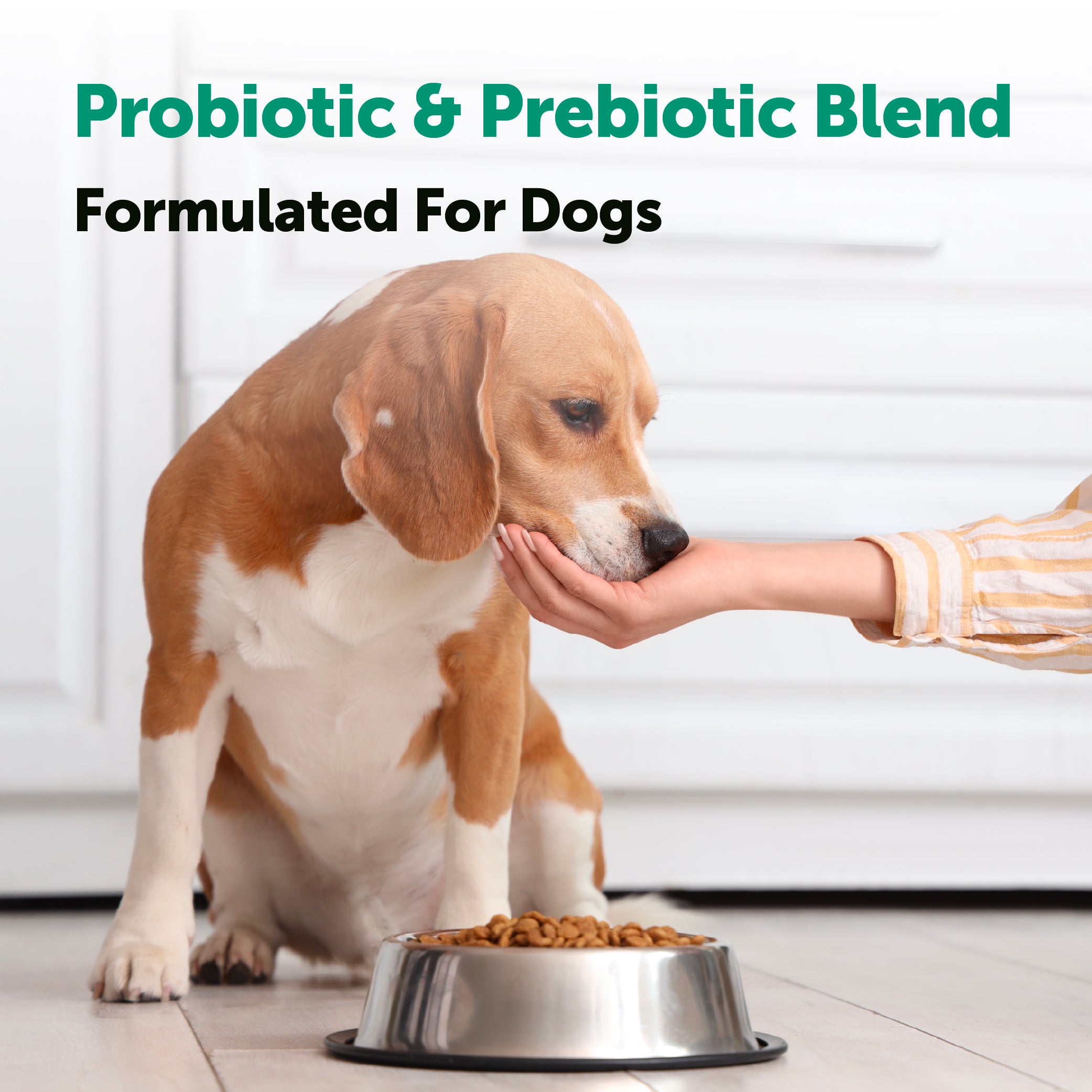 Micro Ingredients Probiotics for Dogs 6 Billion CFU, Duck Flavor, 240 Soft Chews