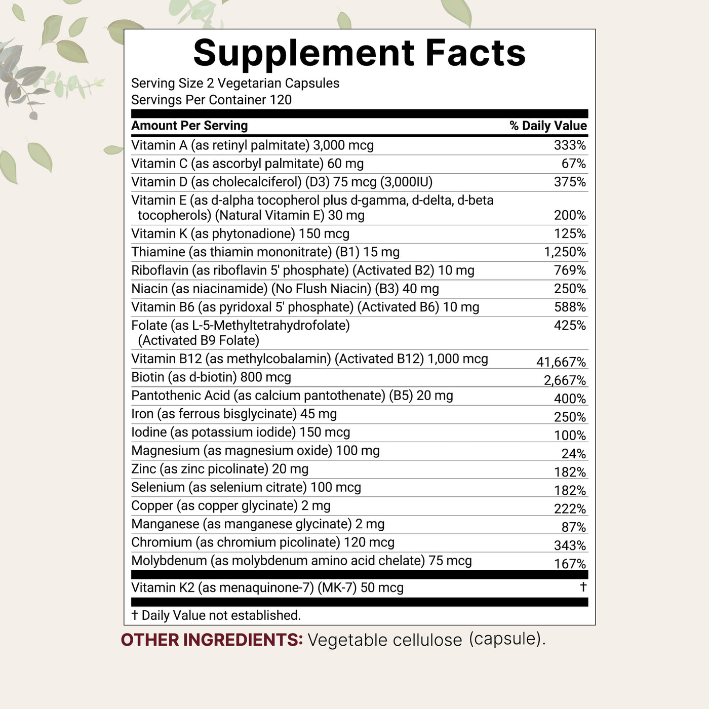 Micro Ingredients Bariatric Multivitamin with 45mg Iron, 240 Veggie Capsules