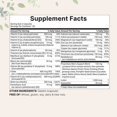 Micro Ingredient Pure Methylated Multivitamin for Men, 240 Capsules