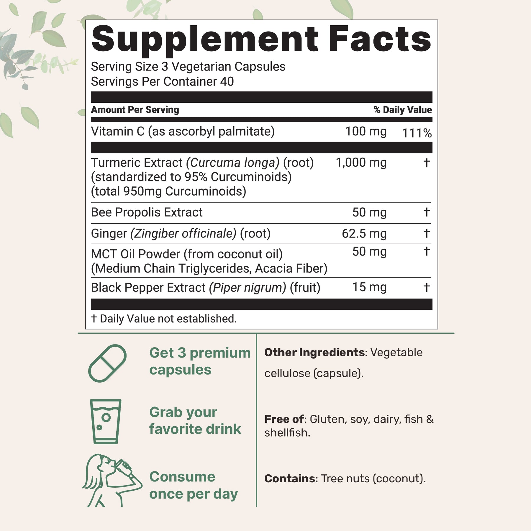 Micro Active Curcumin Micro Ingredients Turmeric Curcumin 1,000mg | 95% Curcuminoids with Bl