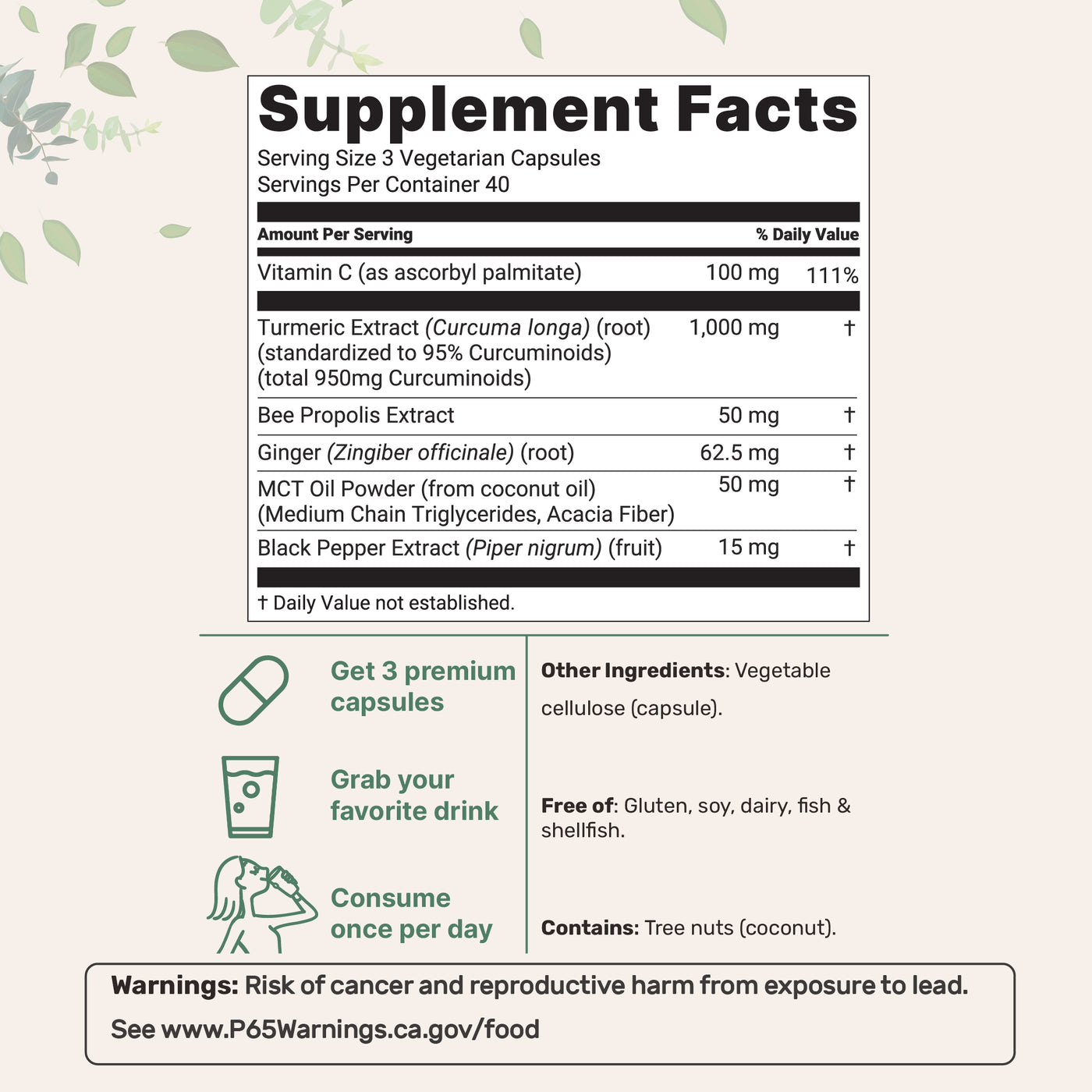 Micro Ingredients Turmeric Curcumin 1,000mg | 95% Curcuminoids with Black Pepper & MCT Oil for Ultimate Absorption, No Filler, No GMO - 120 Vegetarian Capsules