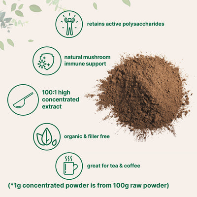 Micro Ingredients Organic Reishi Mushroom Powder, 16oz