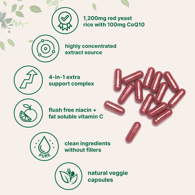 Micro Ingredients Red Yeast Rice 1,200mg with CoQ10 100mg, 240 Veggie Capsules