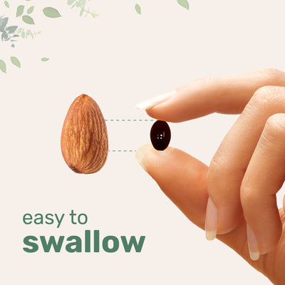 Micro Ingredients Saw Palmetto 4,800mg Equivalent with Pumpkin Seed Oil, 240 Softgels