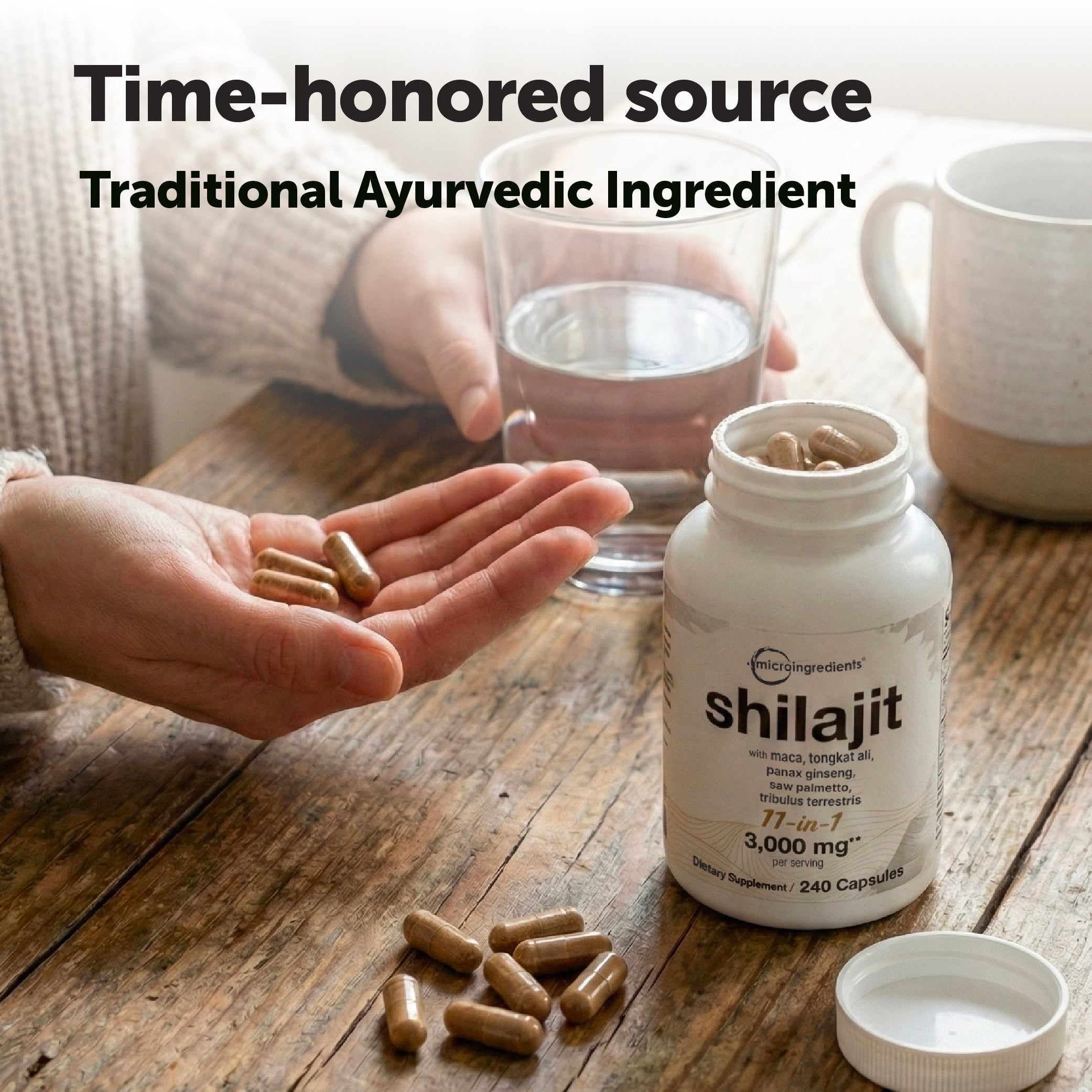 Micro Ingredients Shilajit 11-in-1 3000mg, 240 Capsules