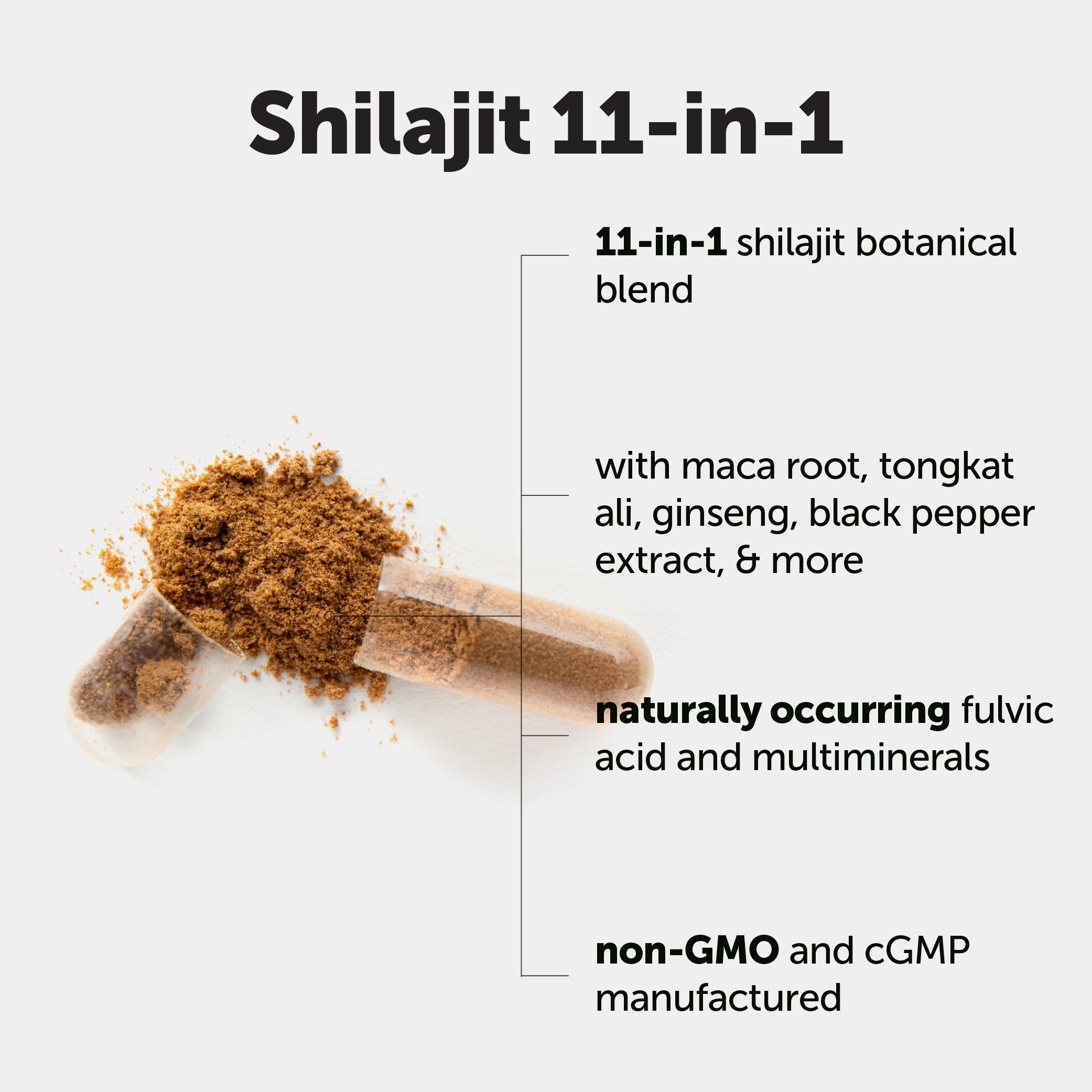 Micro Ingredients Shilajit 11-in-1 3000mg, 240 Capsules