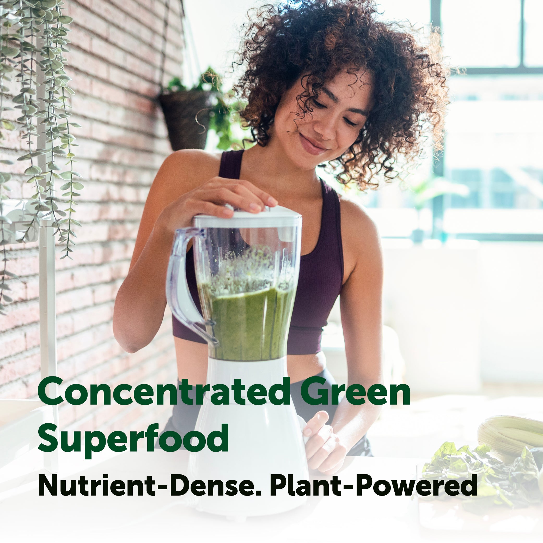 Micro Ingredients Organic Spirulina Powder