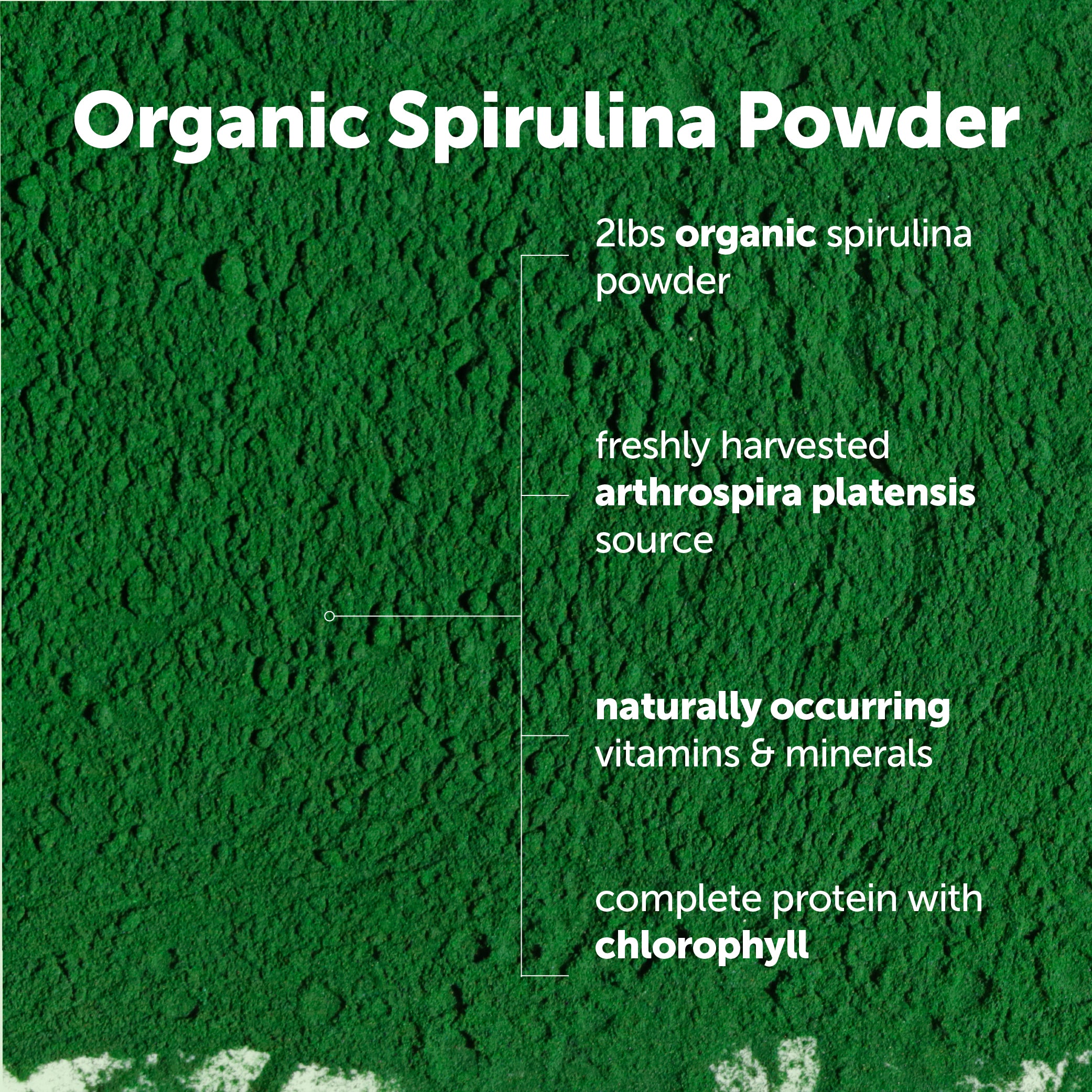 Micro Ingredients Organic Spirulina Powder