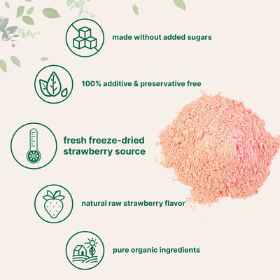 Organic Freeze-Dried Strawberry Powder 1 lb