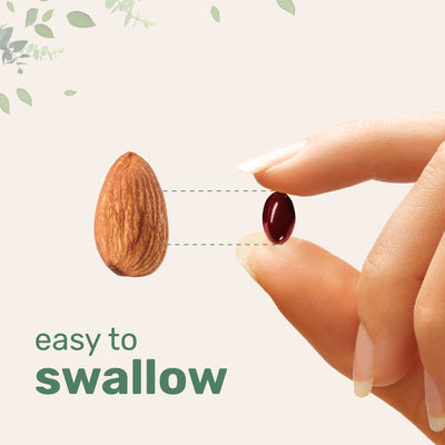 Micro Ingredients Tart Cherry+ with Black Seed Oil, 300 Softgels