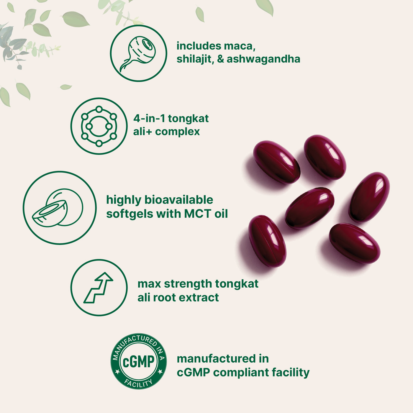 Micro Ingredients Tongkat Ali+ for Men with MCT Oil, 240 Softgels