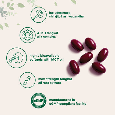Micro Ingredients Tongkat Ali+ for Men with MCT Oil, 240 Softgels