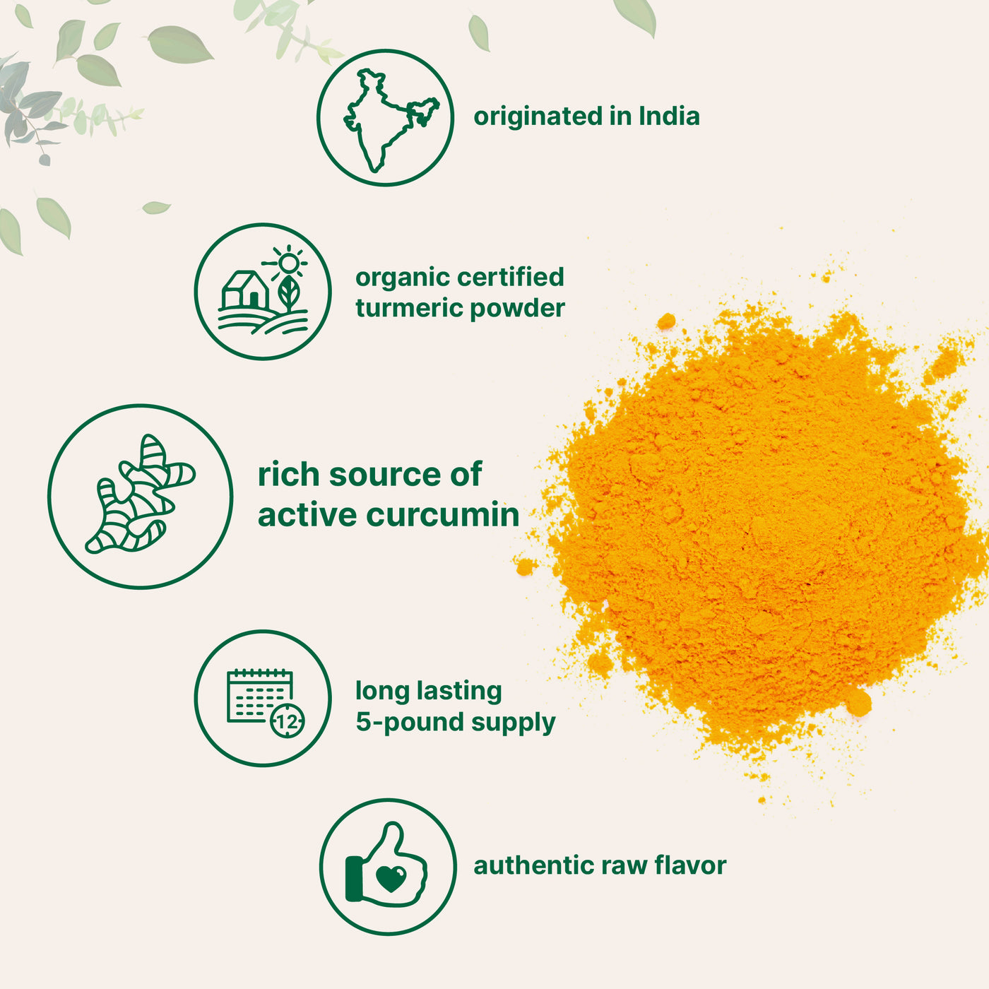 Micro Ingredients Organic Turmeric Powder, 5 Pounds