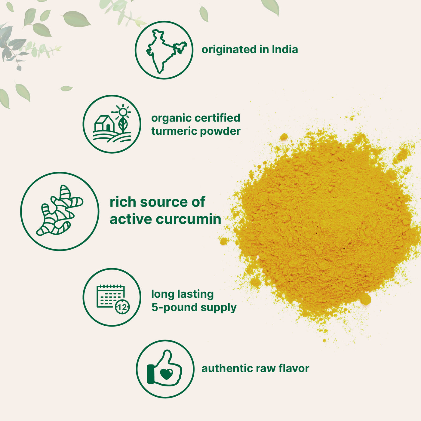 Micro Ingredients Organic Turmeric Powder, 5 Pounds