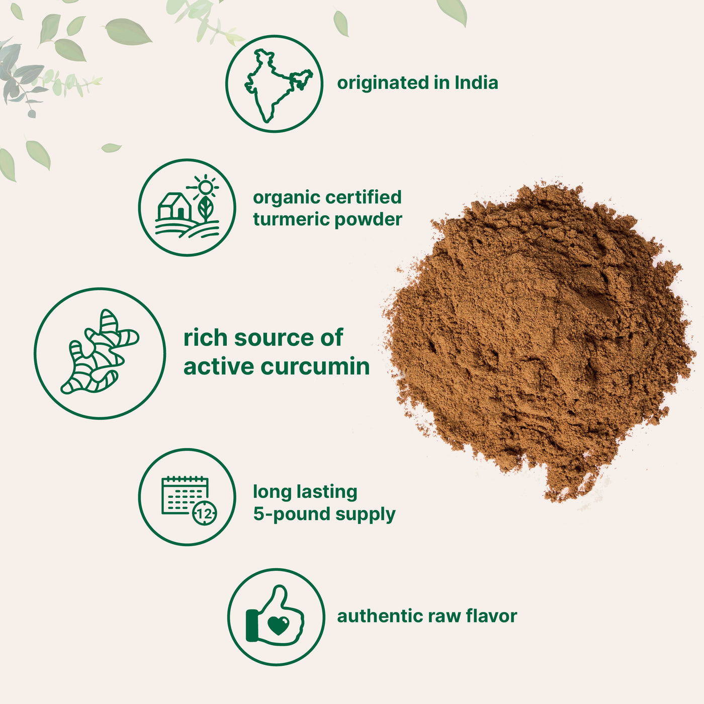 Micro Ingredients Organic Turmeric Powder, 5 Pounds