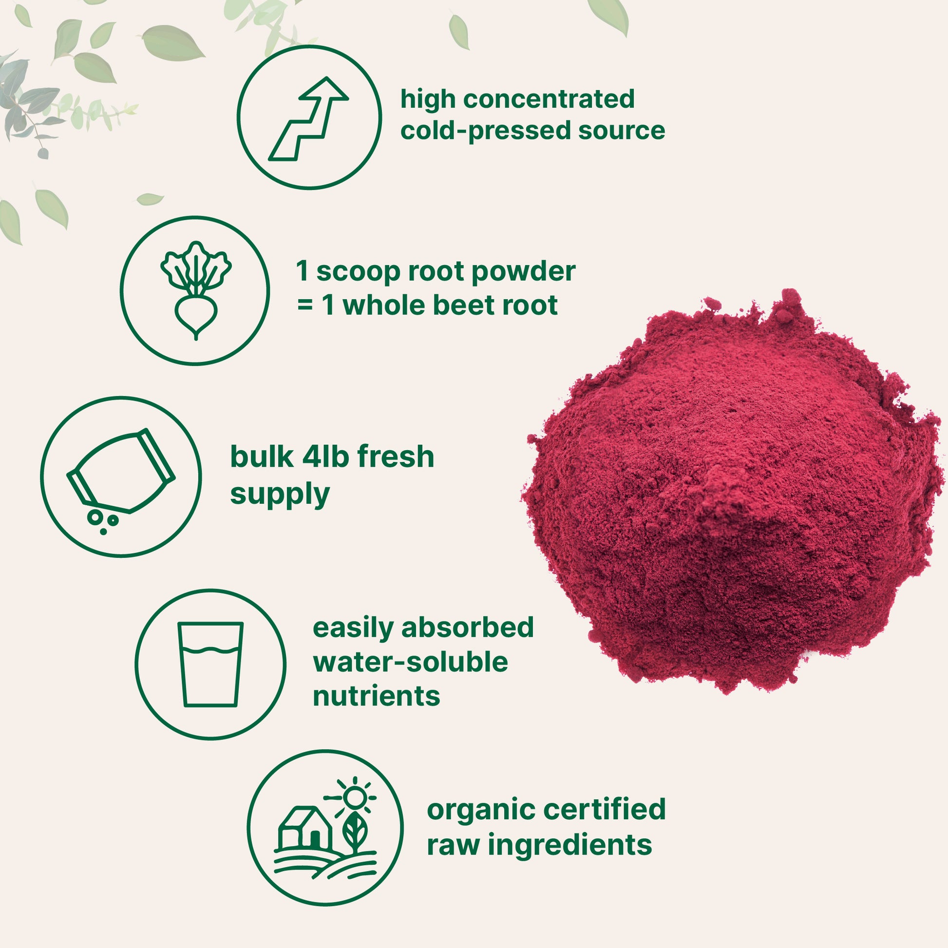 Organic Beet Root Powder, 4 Pounds Powder Forms