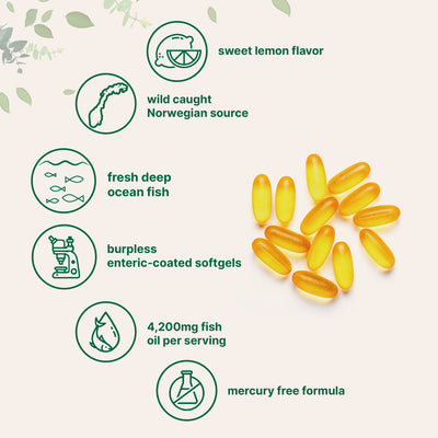 Boise Brooke's Choice Bundle: Vitamin D3K2 5000IU & Omega Fish Oil 120 Softgels