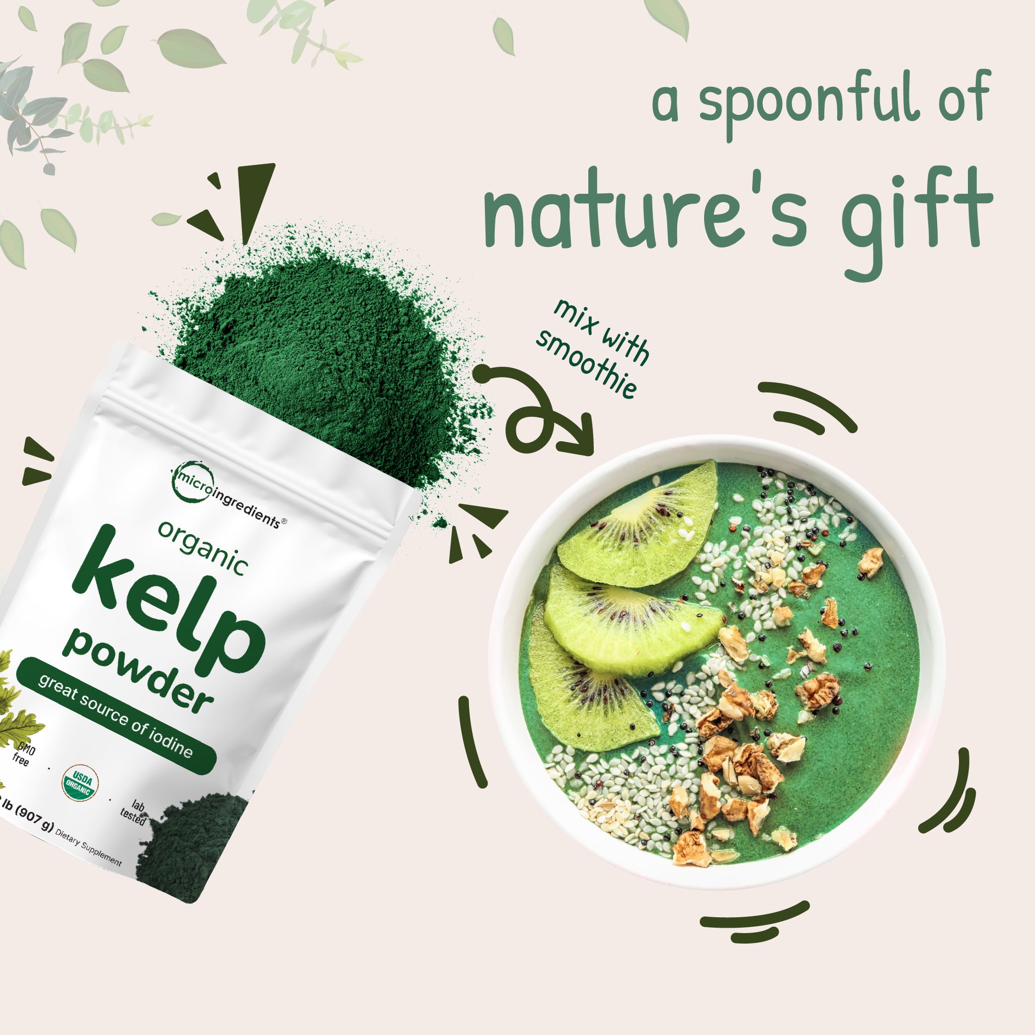 Micro Ingredients Organic Kelp Powder Supplement