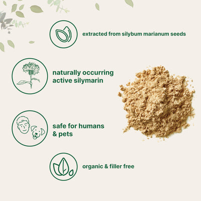 Organic Milk Thistle Powder