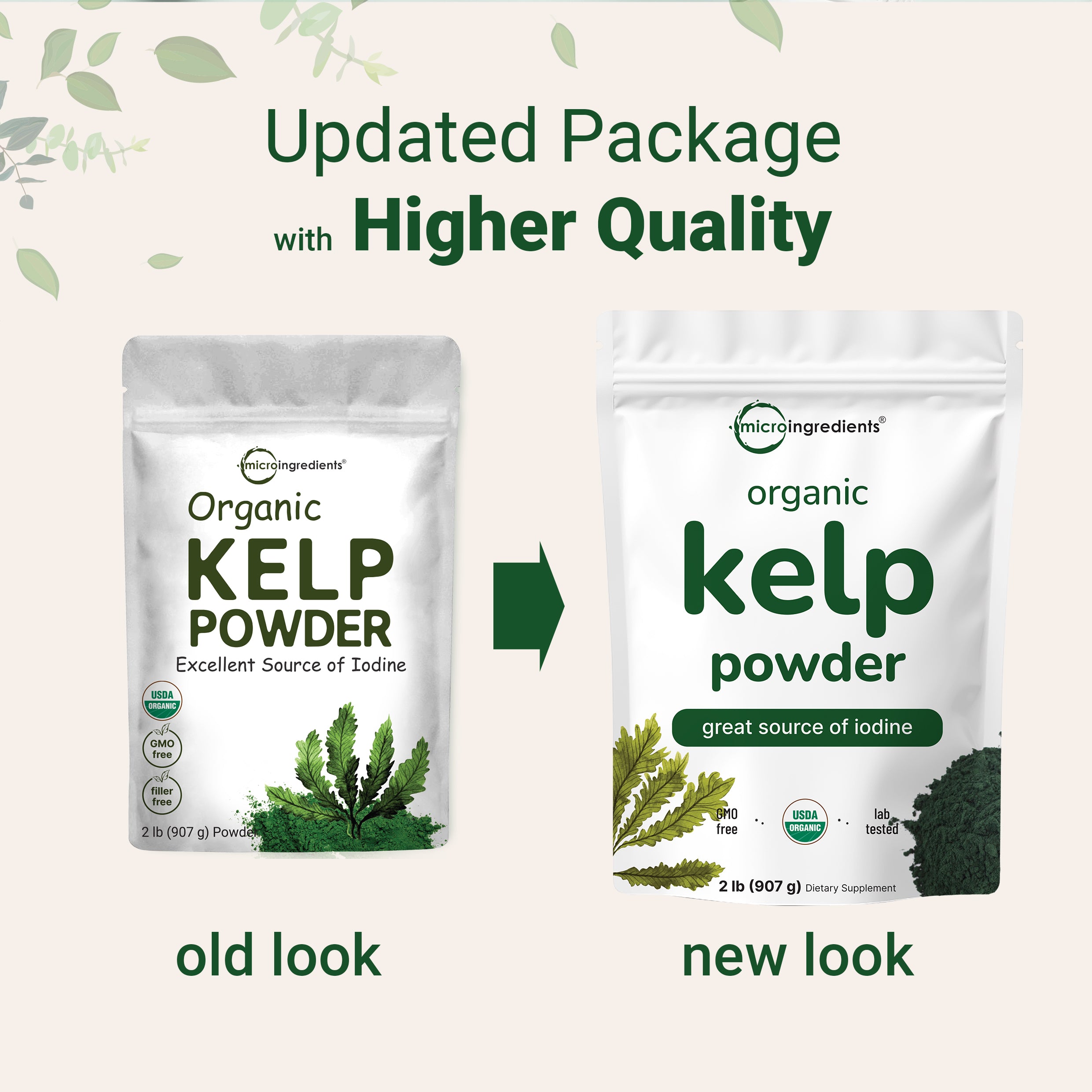 Micro Ingredients Organic Kelp Powder Supplement