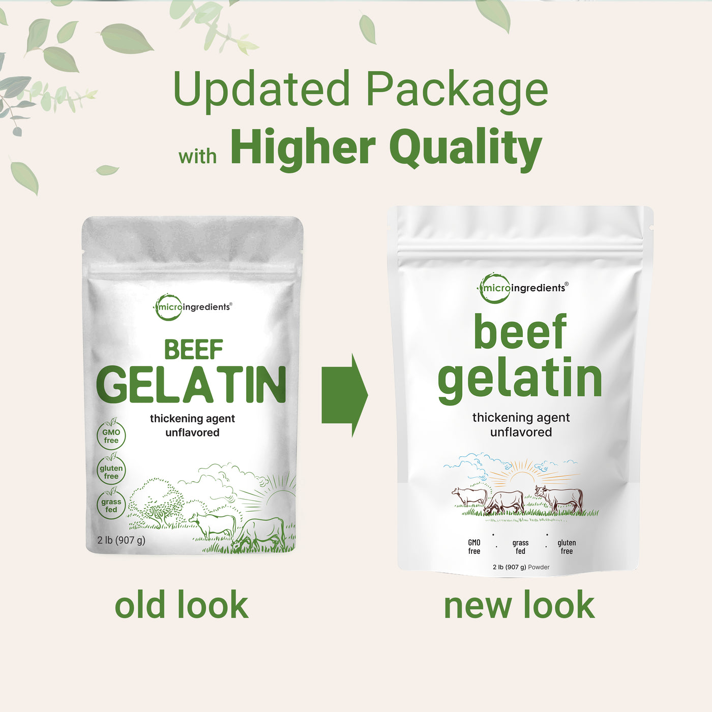 Micro Ingredients Grass-Fed Beef Gelatin Powder - Unflavored